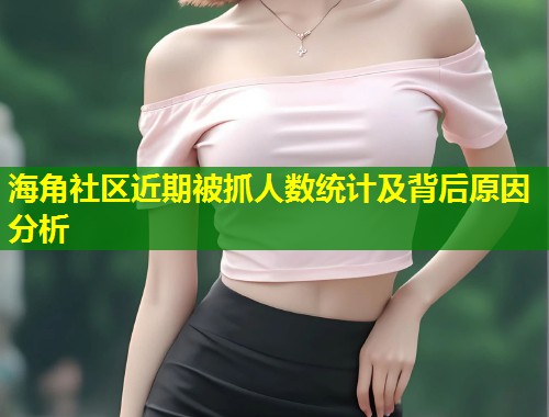 海角社区近期被抓人数统计及背后原因分析  第1张
