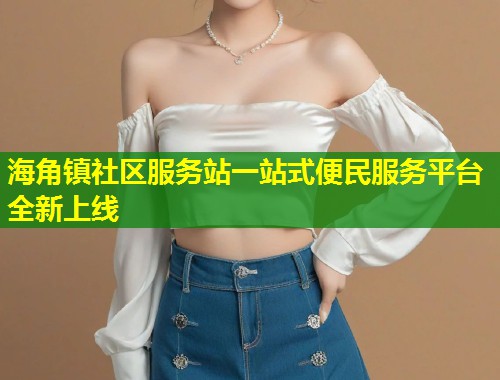 海角镇社区服务站一站式便民服务平台全新上线  第1张