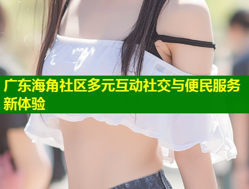 广东海角社区多元互动社交与便民服务新体验