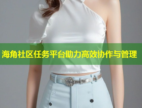 海角社区任务平台助力高效协作与管理