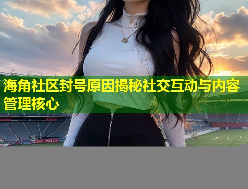 海角社区封号原因揭秘社交互动与内容管理核心